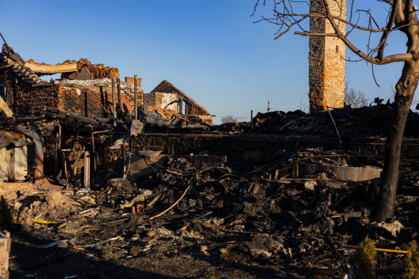 Reliable Fire Damage Restoration contractor in Halethorpe, MD by Fire Damage Doption